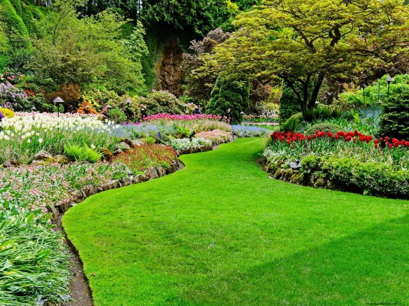 Jardinage sans paillis :techniques durables qui produisent un sol plus sain et des coûts inférieurs
