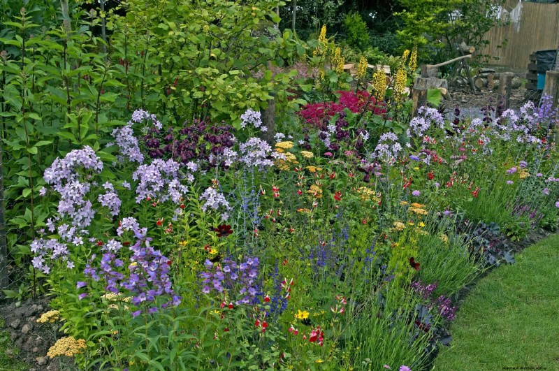 Jardinage sans paillis :techniques durables qui produisent un sol plus sain et des coûts inférieurs