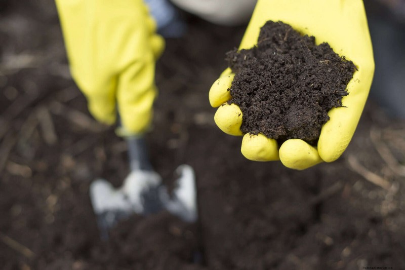 Jardinage sans paillis :techniques durables qui produisent un sol plus sain et des coûts inférieurs