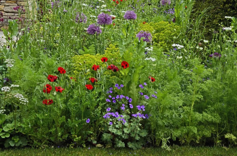Jardinage sans paillis :techniques durables qui produisent un sol plus sain et des coûts inférieurs