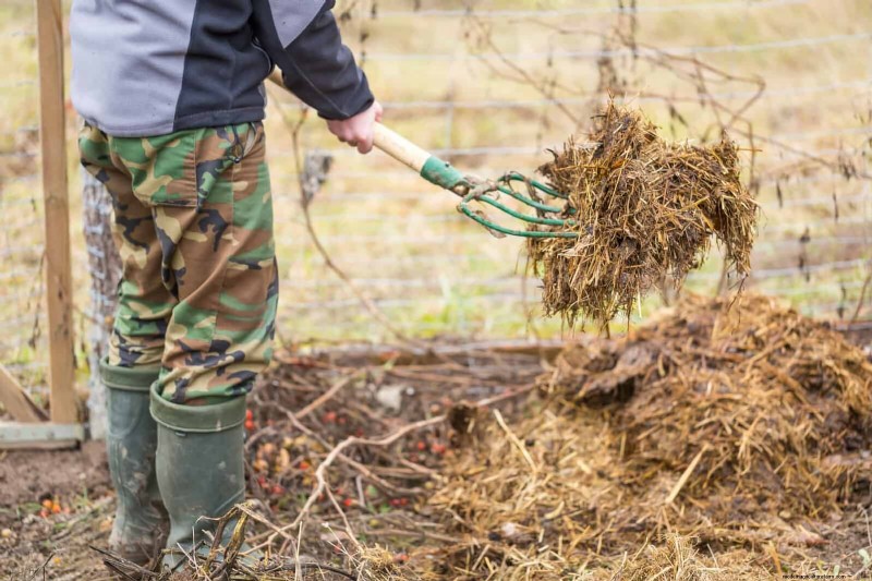 Jardinage sans paillis :techniques durables qui produisent un sol plus sain et des coûts inférieurs