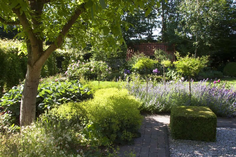 Jardinage sans paillis :techniques durables qui produisent un sol plus sain et des coûts inférieurs