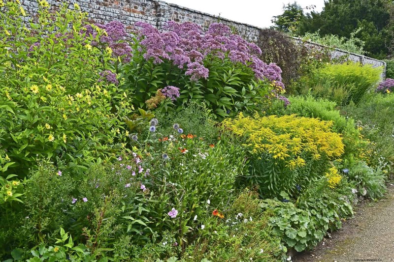 Jardinage sans paillis :techniques durables qui produisent un sol plus sain et des coûts inférieurs