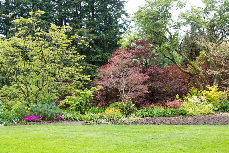 Jardinage sans paillis :techniques durables qui produisent un sol plus sain et des coûts inférieurs