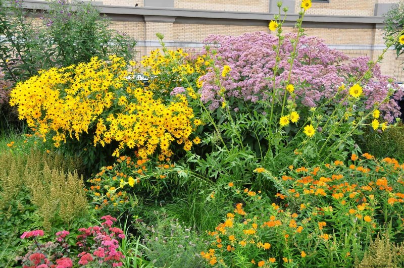 Jardinage sans paillis :techniques durables qui produisent un sol plus sain et des coûts inférieurs