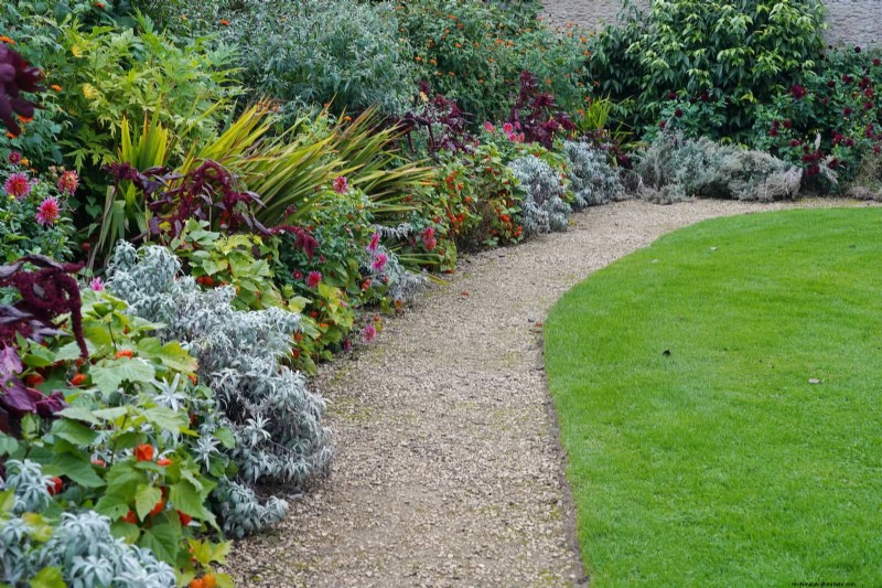 Jardinage sans paillis :techniques durables qui produisent un sol plus sain et des coûts inférieurs