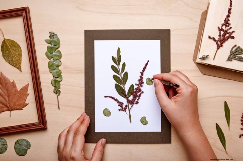 25 idées de bricolage pour réutiliser les restes de jardin dans une belle décoration intérieure