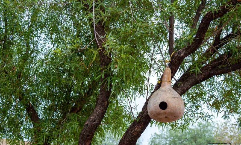 25 idées de bricolage pour réutiliser les restes de jardin dans une belle décoration intérieure