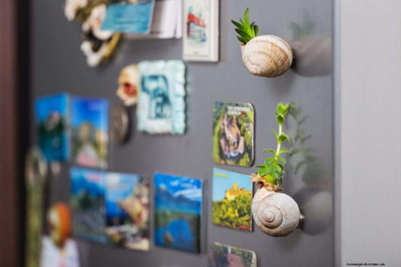 25 idées de bricolage pour réutiliser les restes de jardin dans une belle décoration intérieure