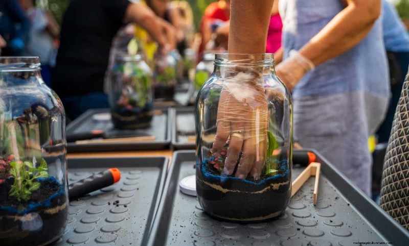 25 idées de bricolage pour réutiliser les restes de jardin dans une belle décoration intérieure