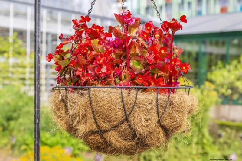 25 idées de bricolage pour réutiliser les restes de jardin dans une belle décoration intérieure
