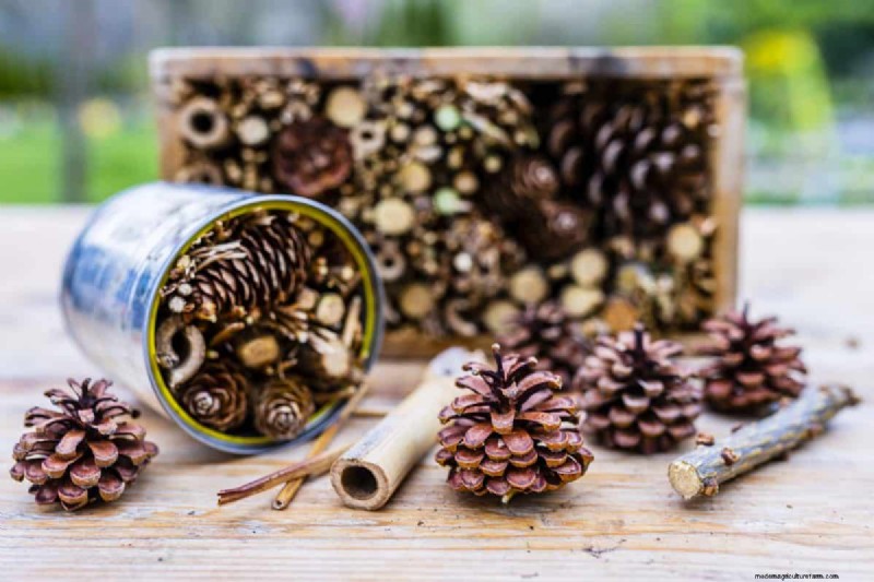25 idées de bricolage pour réutiliser les restes de jardin dans une belle décoration intérieure