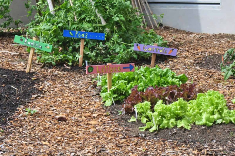 25 idées de bricolage pour réutiliser les restes de jardin dans une belle décoration intérieure