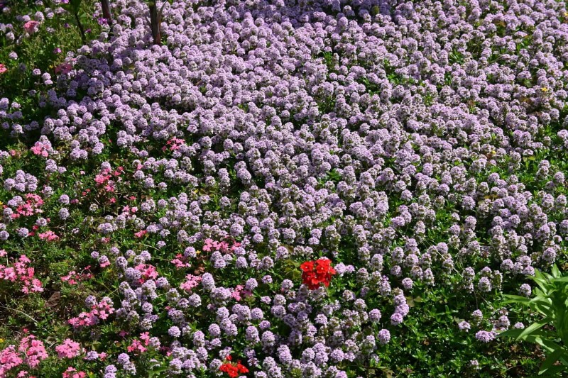 Comment créer un superbe paysage d été avec un minimum d effort