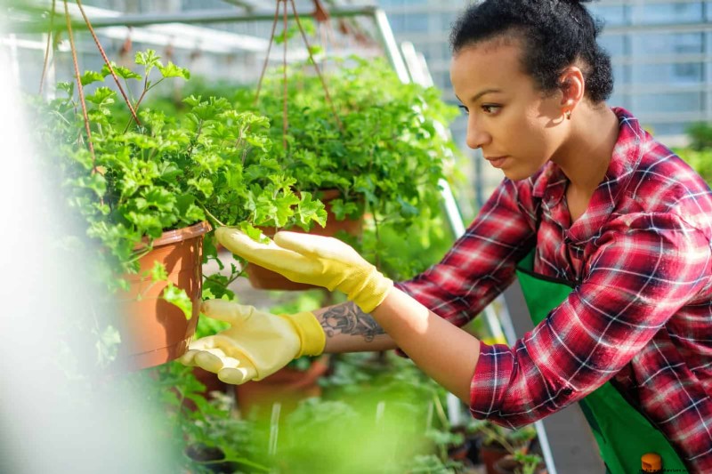 22 signes clairs que votre sol retarde la croissance des fleurs 
