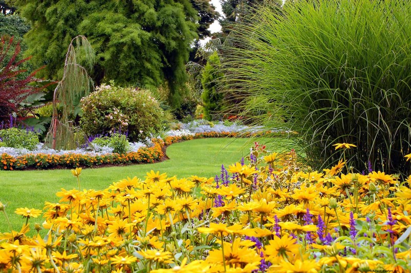 Construisez un jardin sans mauvaises herbes et nécessitant peu d entretien avec 22 plantes choisies par des experts