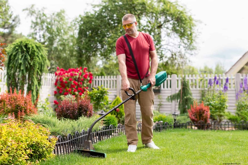 30 tâches essentielles du jardin de mars pour démarrer une cour printanière luxuriante 