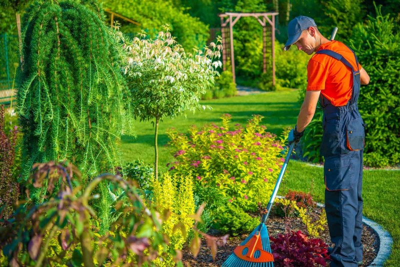 30 tâches essentielles du jardin de mars pour démarrer une cour printanière luxuriante 