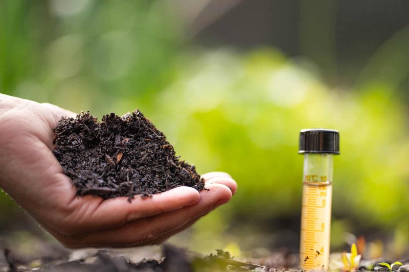 30 tâches essentielles du jardin de mars pour démarrer une cour printanière luxuriante 