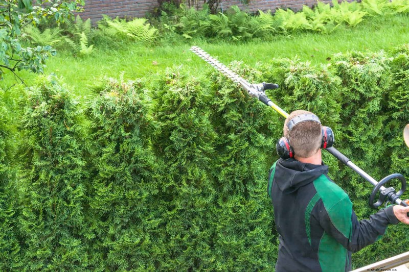 30 tâches essentielles du jardin de mars pour démarrer une cour printanière luxuriante 
