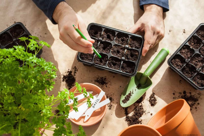 30 tâches essentielles du jardin de mars pour démarrer une cour printanière luxuriante 