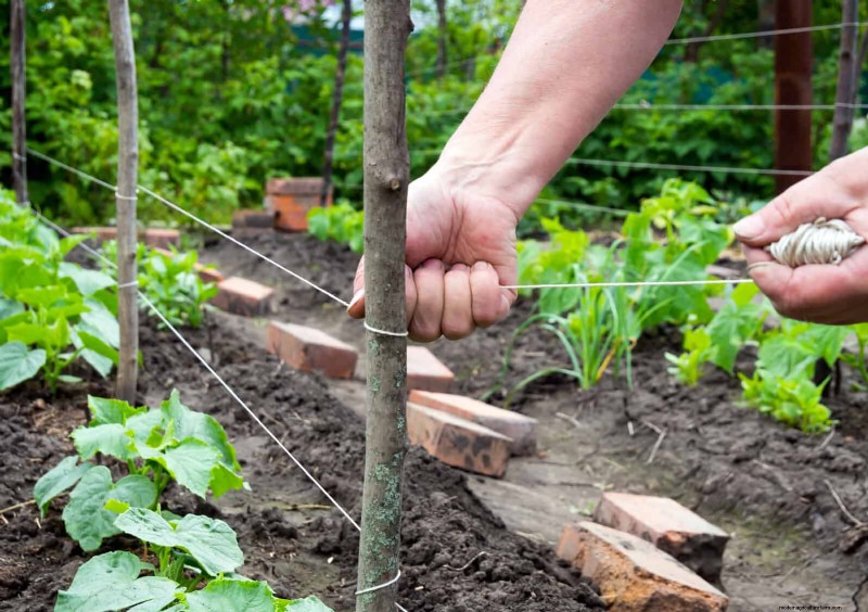 30 tâches essentielles du jardin de mars pour démarrer une cour printanière luxuriante 