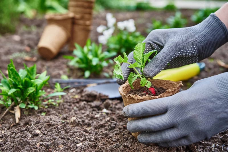 30 tâches essentielles du jardin de mars pour démarrer une cour printanière luxuriante 