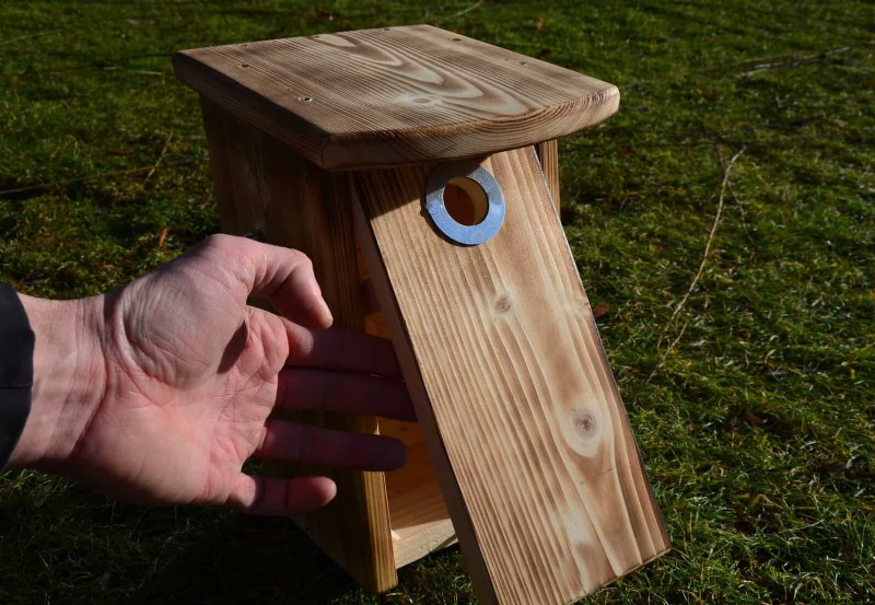 30 tâches essentielles du jardin de mars pour démarrer une cour printanière luxuriante 