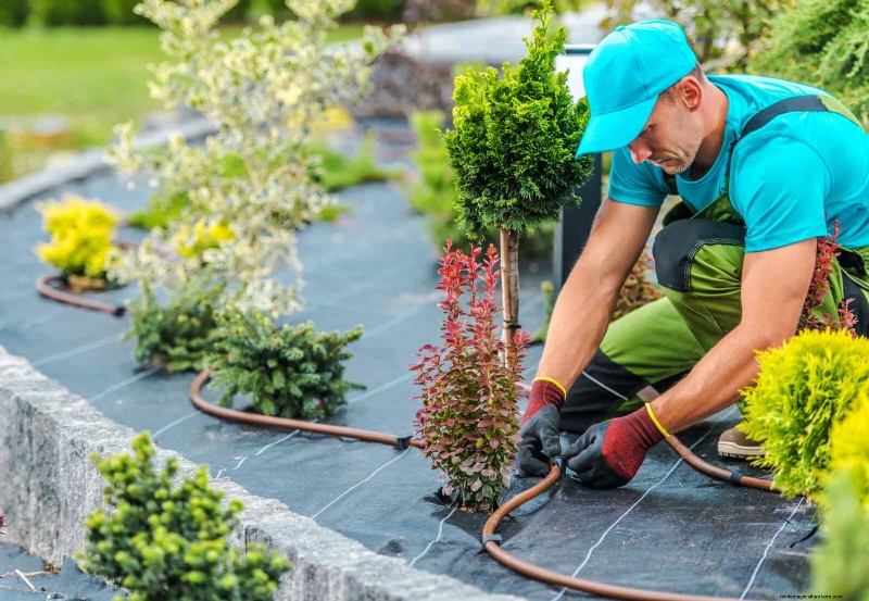 30 tâches essentielles du jardin de mars pour démarrer une cour printanière luxuriante 