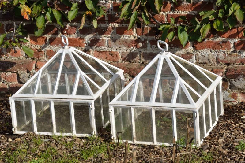 30 tâches essentielles du jardin de mars pour démarrer une cour printanière luxuriante 