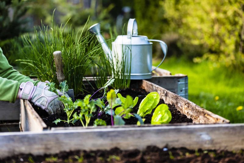 30 tâches essentielles du jardin de mars pour démarrer une cour printanière luxuriante 