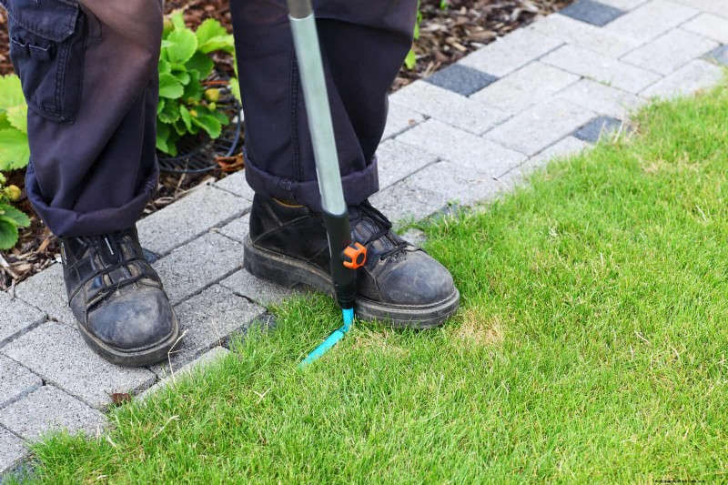 30 tâches essentielles du jardin de mars pour démarrer une cour printanière luxuriante 