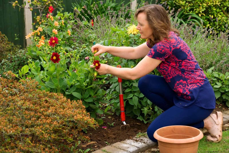 30 tâches essentielles du jardin de mars pour démarrer une cour printanière luxuriante 