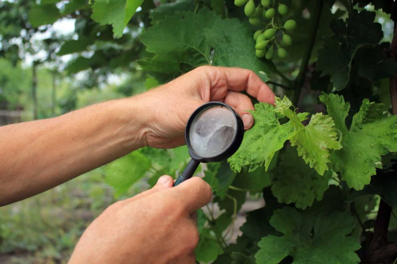 30 tâches essentielles du jardin de mars pour démarrer une cour printanière luxuriante 