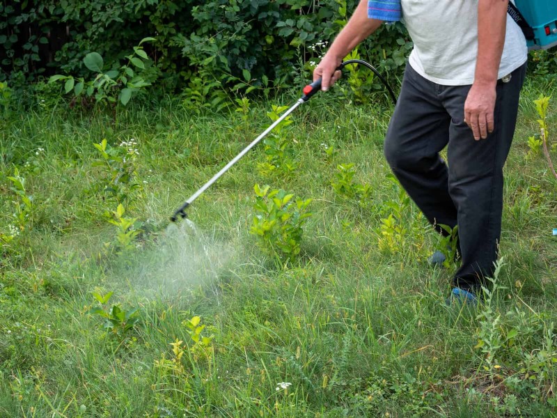 30 tâches essentielles du jardin de mars pour démarrer une cour printanière luxuriante 