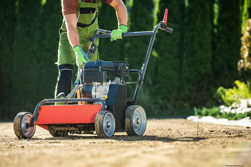 30 tâches essentielles du jardin de mars pour démarrer une cour printanière luxuriante 