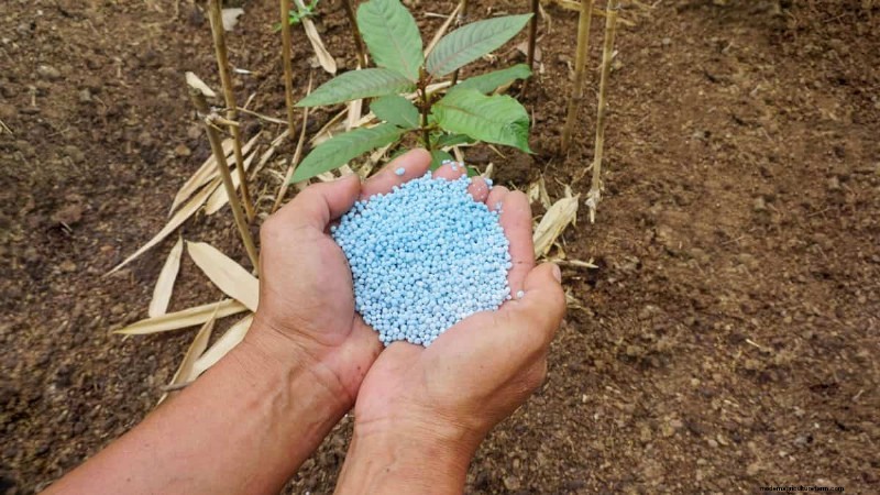 30 tâches essentielles du jardin de mars pour démarrer une cour printanière luxuriante 
