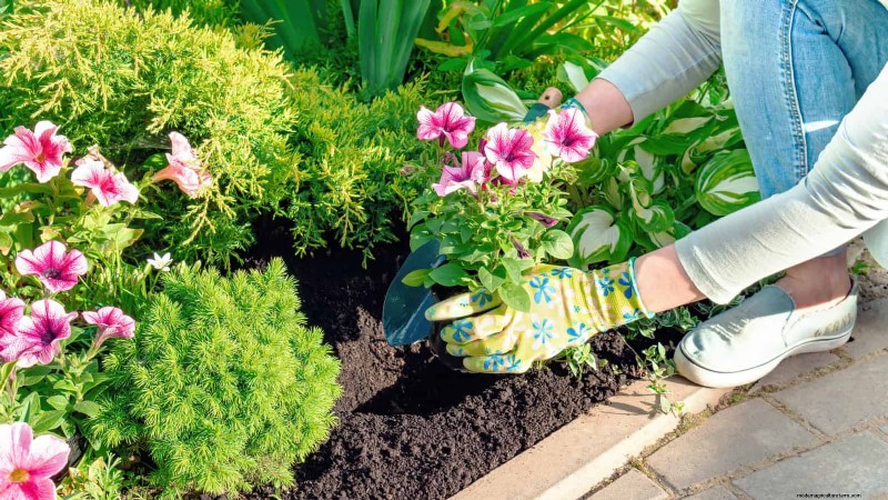 30 tâches essentielles du jardin de mars pour démarrer une cour printanière luxuriante 