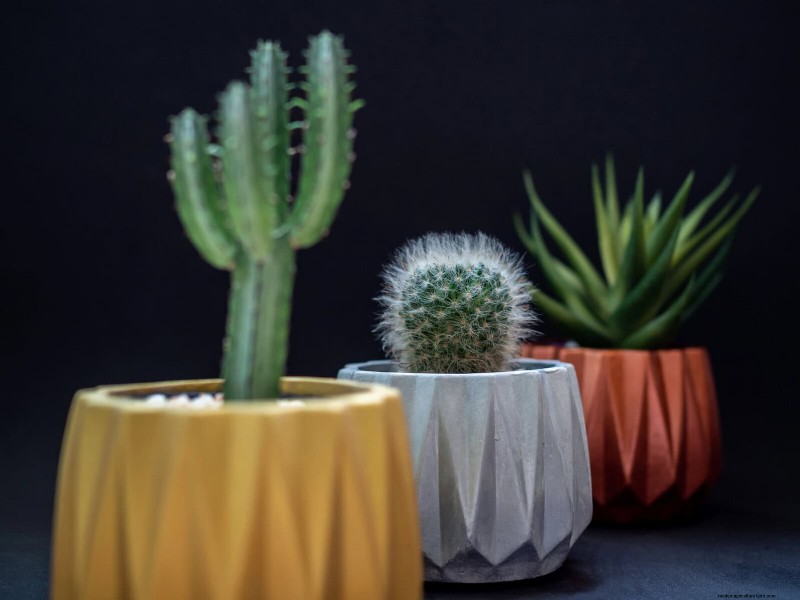 21 designergodkända sätt att sömlöst blanda växter i moderna interiörer