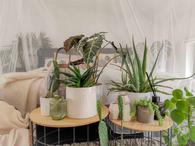 21 designergodkända sätt att sömlöst blanda växter i moderna interiörer