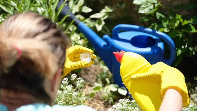 27 deskundige strategieën om langbenige kamerplanten nieuw leven in te blazen voor een volledigere groei 