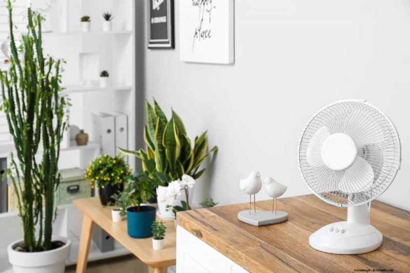 27 deskundige strategieën om langbenige kamerplanten nieuw leven in te blazen voor een volledigere groei 