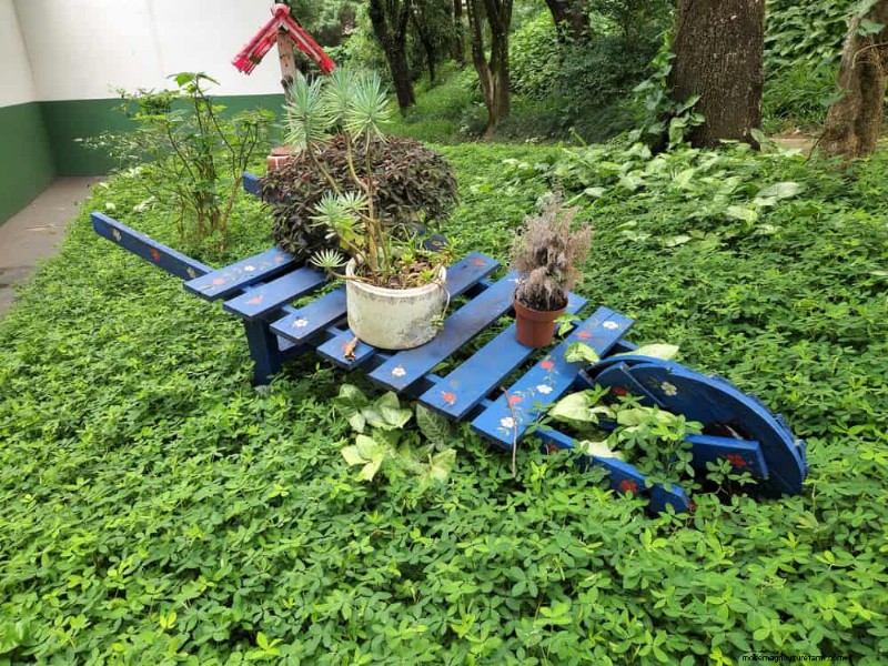 28 creatieve ideeën om oud tuingereedschap opnieuw te gebruiken in een prachtig buitendecor 