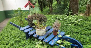 28 Ide Kreatif untuk Mengubah Peralatan Berkebun Tua menjadi Dekorasi Luar Ruangan yang Menakjubkan 