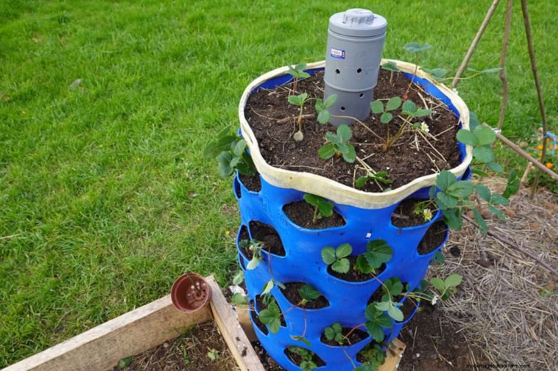 28 creatieve ideeën om oud tuingereedschap opnieuw te gebruiken in een prachtig buitendecor 