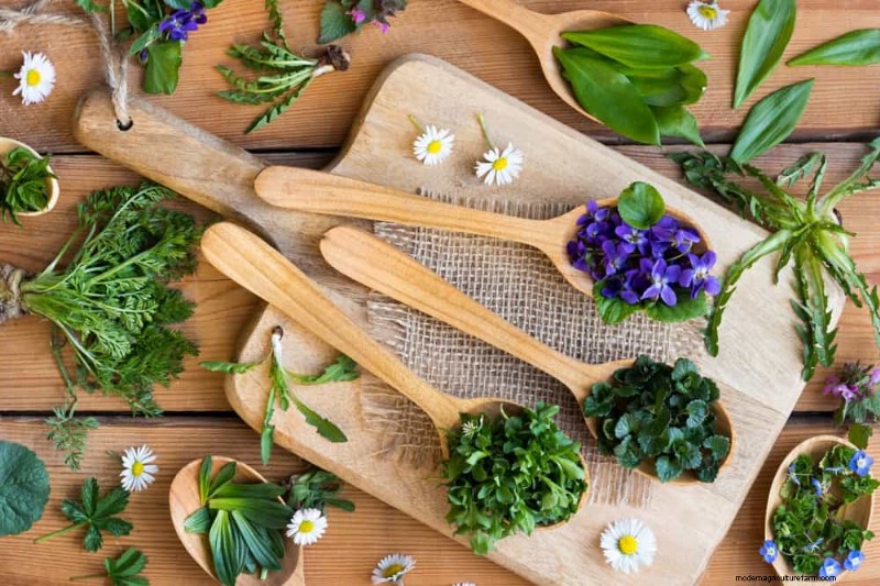 安全に食べられる24の庭の雑草 – 識別、栄養、調理のヒント 