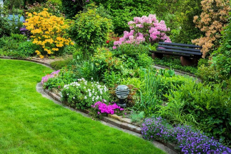 19 Stunning Perennials That Arrive First Each Spring