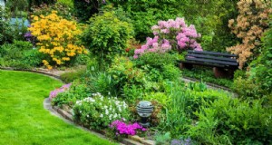 19 impresionantes plantas perennes que llegan primero cada primavera 