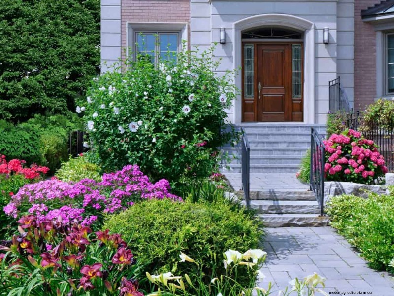 21 plantes incroyablement parfumées pour remplir votre jardin de parfums célestes
