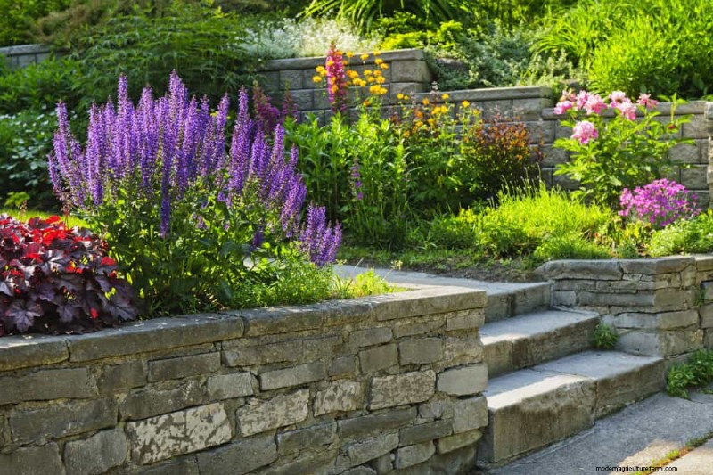 21 plantes incroyablement parfumées pour remplir votre jardin de parfums célestes